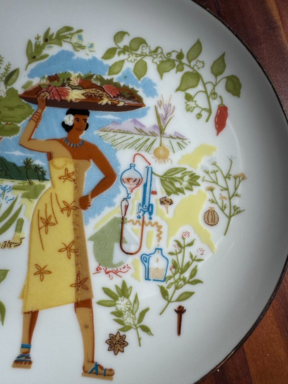 Vintage Gien France Route des Indes Porcelain Plate - Claude Berry design